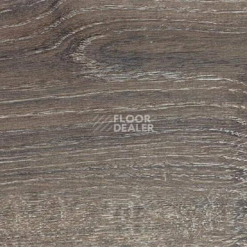 Ламинат Alsafloor Solid Plus ДУБ АРОНИЯ 542 фото 1 | FLOORDEALER